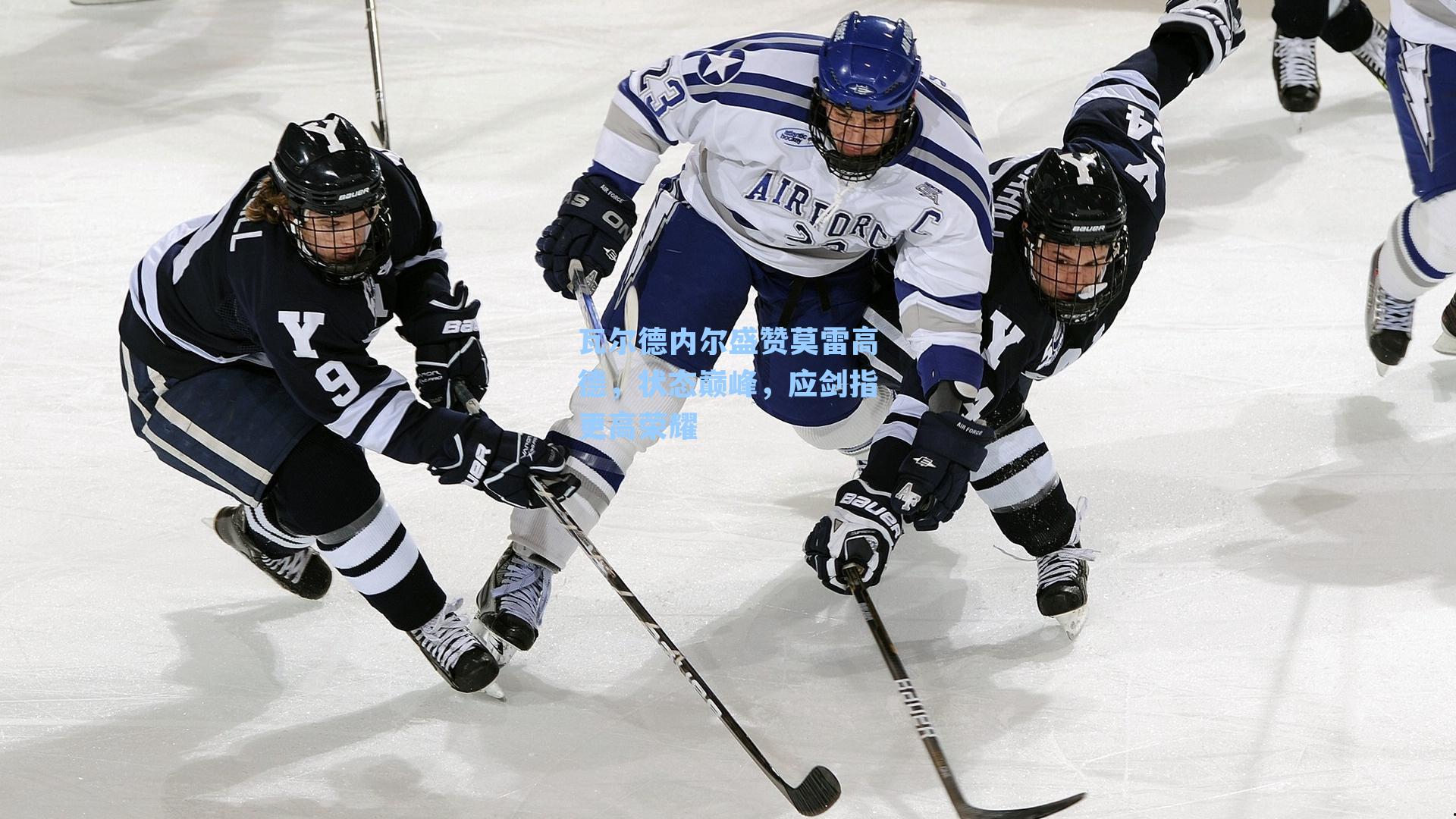 瓦尔德内尔盛赞莫雷高德,状态巅峰,应剑指更高荣耀