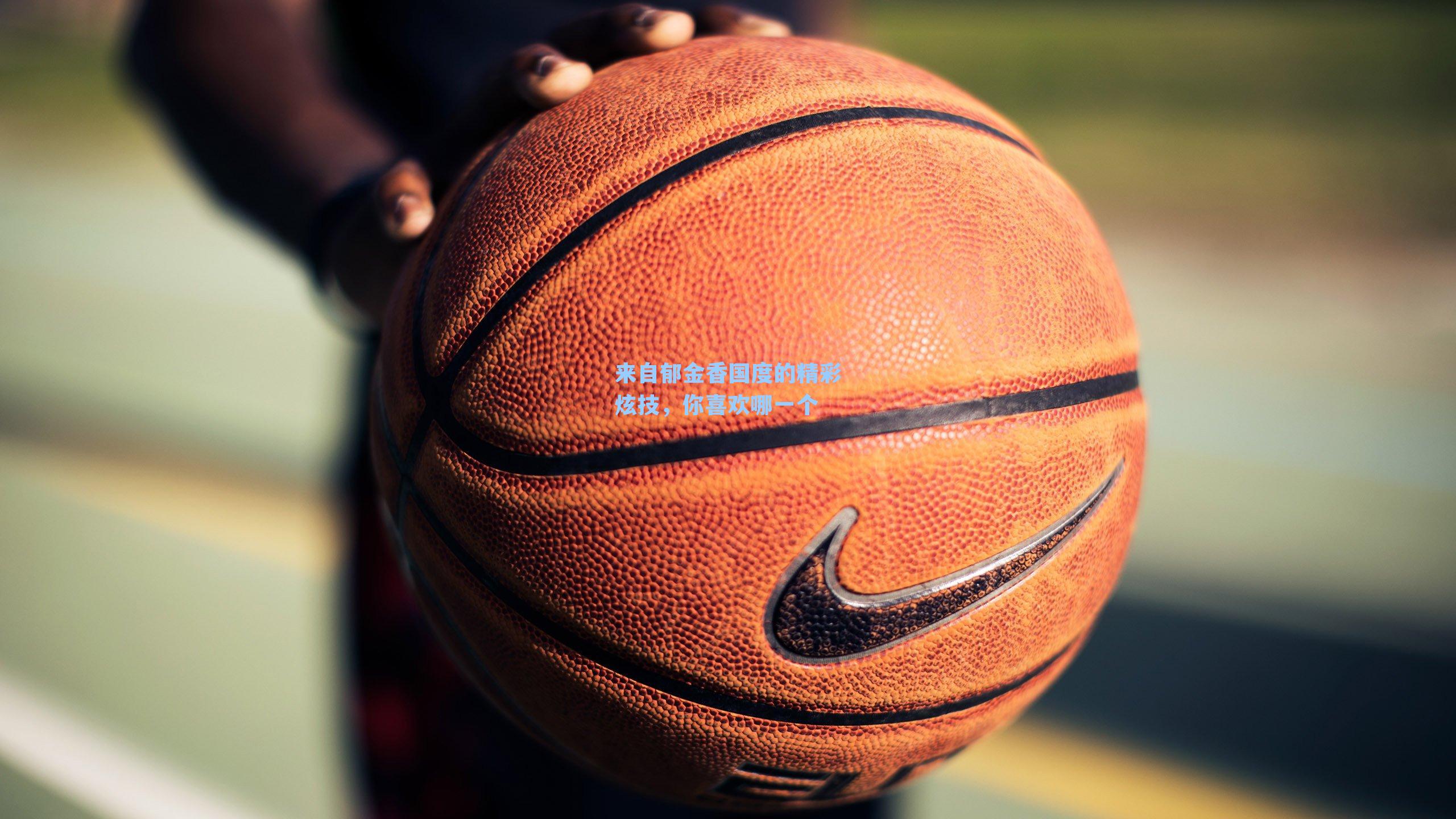 来自郁金香国度的精彩炫技，你喜欢哪一个