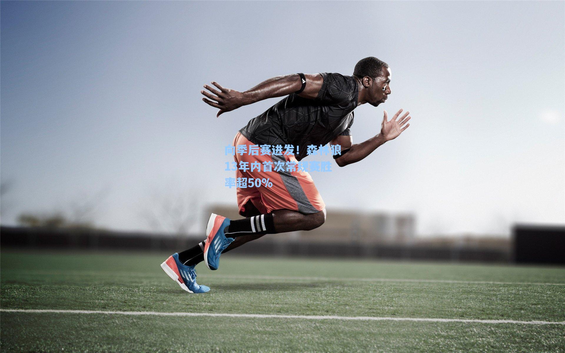 向季后赛进发！森林狼13年内首次常规赛胜率超50%